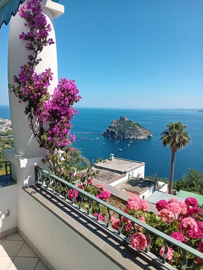 La Pergola Del Torchio Panzió Ischia Kültér fotó