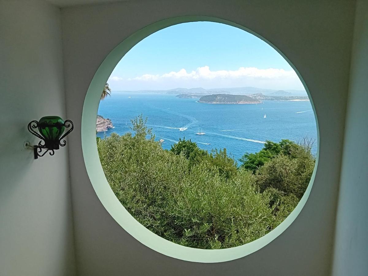 La Pergola Del Torchio Panzió Ischia Kültér fotó